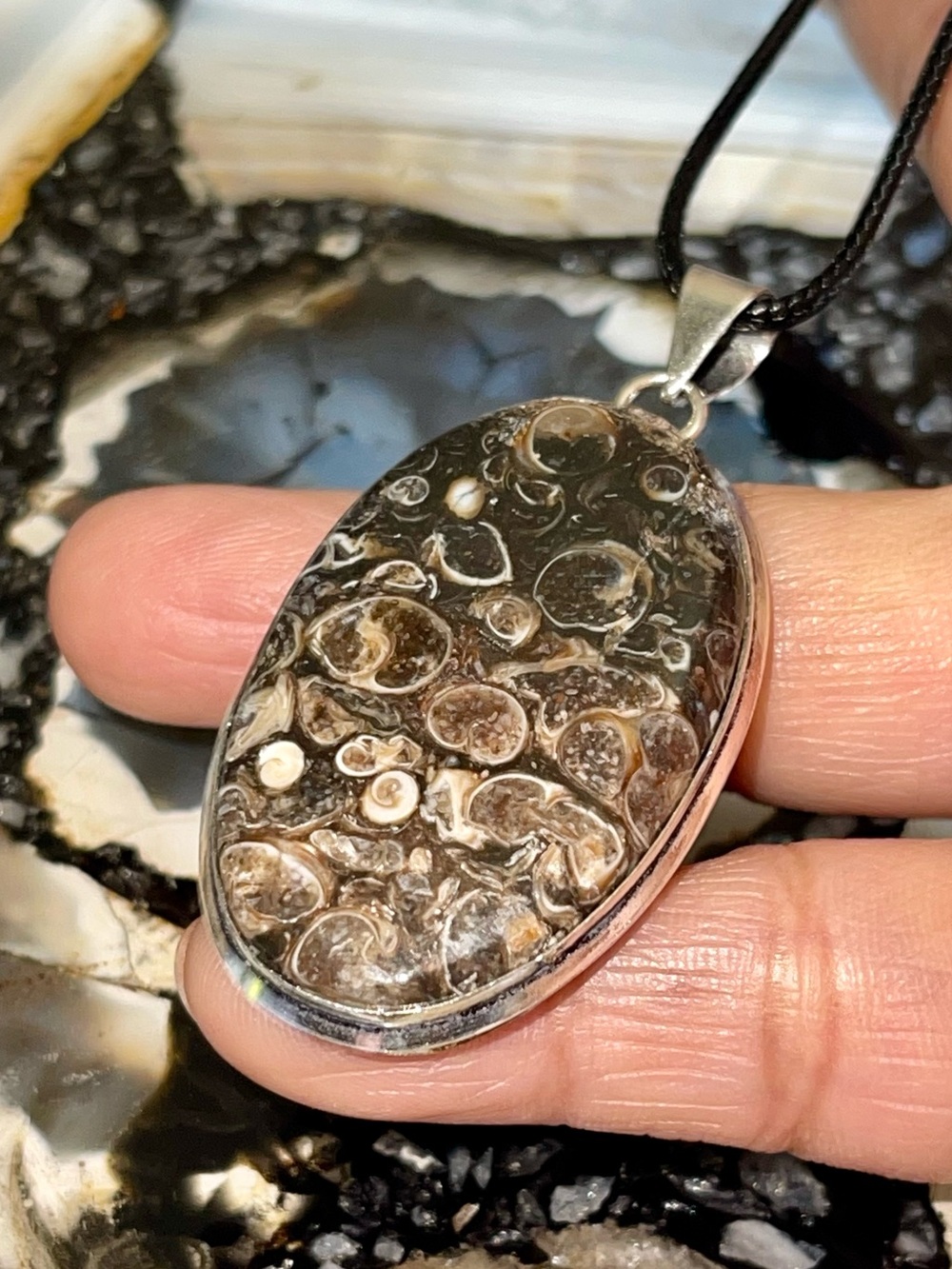 Elemia Turitella Agate Earrings 2 1/4”